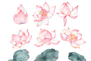 Watercolor Lotus Clip Art Collection, an Object Illustration by ArtbyHien (Thumbnail 4 of 5)