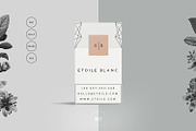 Creative Resume Template for MS Word, a Resume Template by Botanica Paperie (Thumbnail 5 of 6)