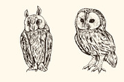 Hand Drawn Animals, an Animal Illustration by Artspace (Thumbnail 4 of 6)