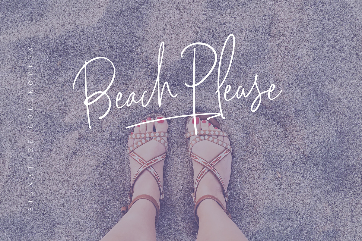 Signature Collection Script Font, a Script Font by Nicky Laatz (Photo 13 of 18)