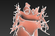 Human heart animated v3, a Characters & Person 3D Model by konstantin.ermolaev (Thumbnail 7 of 8)