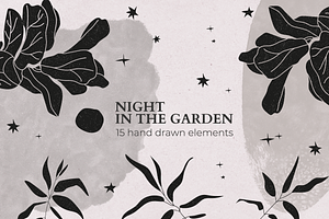 Night in the garden