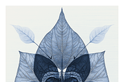 Role Co. Cyanotype Leaf in Symmetry, a Texture Illustration by milatovar (Thumbnail 21 of 21)