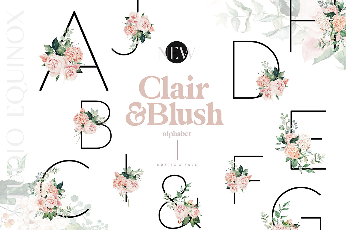 Clair & Blush - Summer Floral Set, an Illustration by studioequinox (Photo 8 of 14)