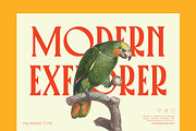 PALMORE - Vintage Rounded Serif, a Serif Font by CCS Type (Thumbnail 7 of 24)