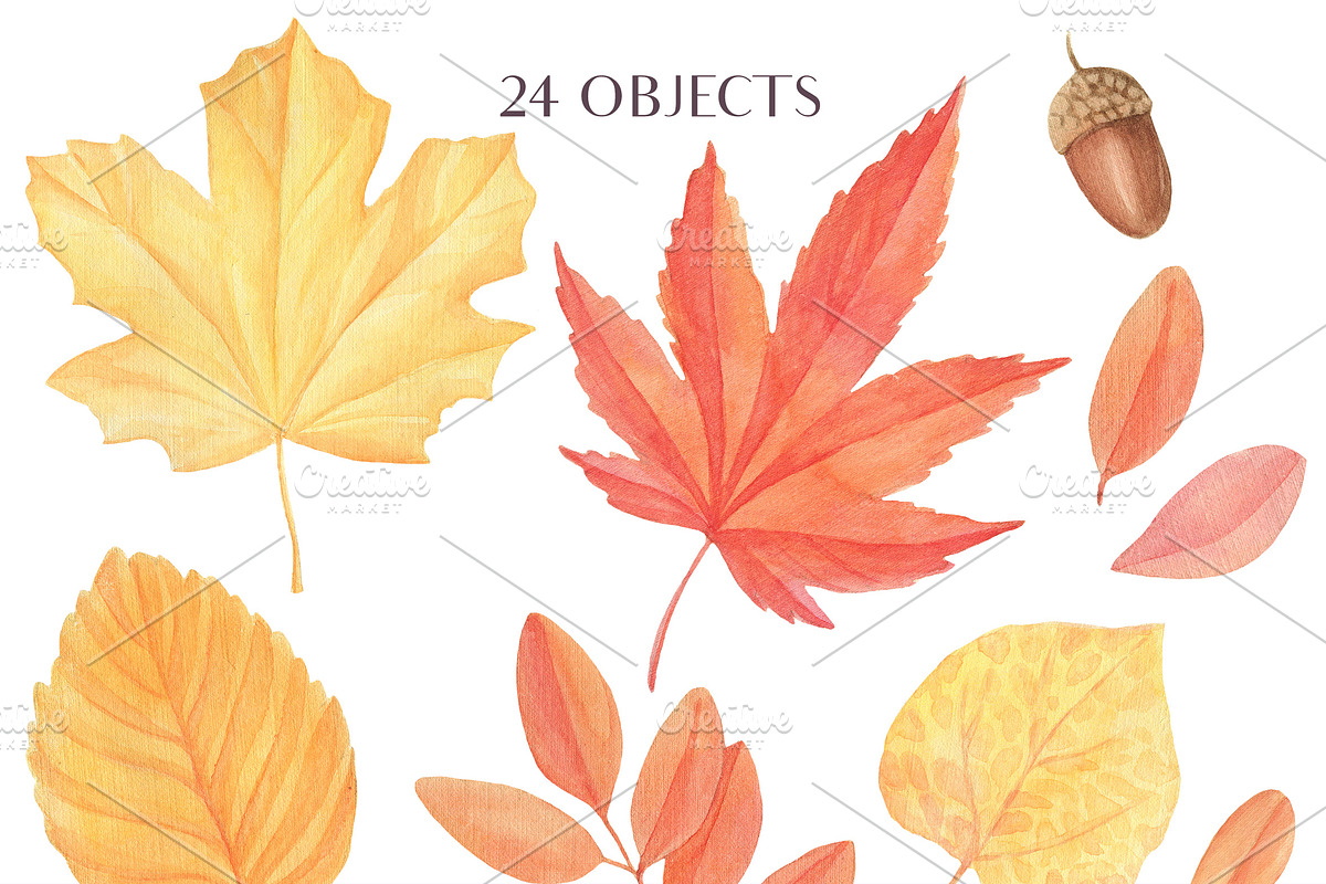 SALE! Watercolor Autumn Leaves, an Illustration by Irina Diasli (Photo 2 of 2)