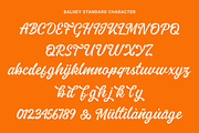 Balney - Rounded Script Font, a Script Font by Zarma Type (Thumbnail 5 of 10)