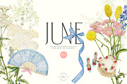JUNE Watercolor Summer Collection, a Decorative Illustration by Kaleriia (Thumbnail 1 of 15)