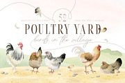 Poultry Yard Watercolors Farm Birds, an Animal Illustration by Elena Malgina Clipart (Thumbnail 1 of 7)