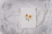 Spring Floral Nature Watercolor Set, a Decorative Illustration by NatalieArtsDenysenko (Thumbnail 11 of 11)