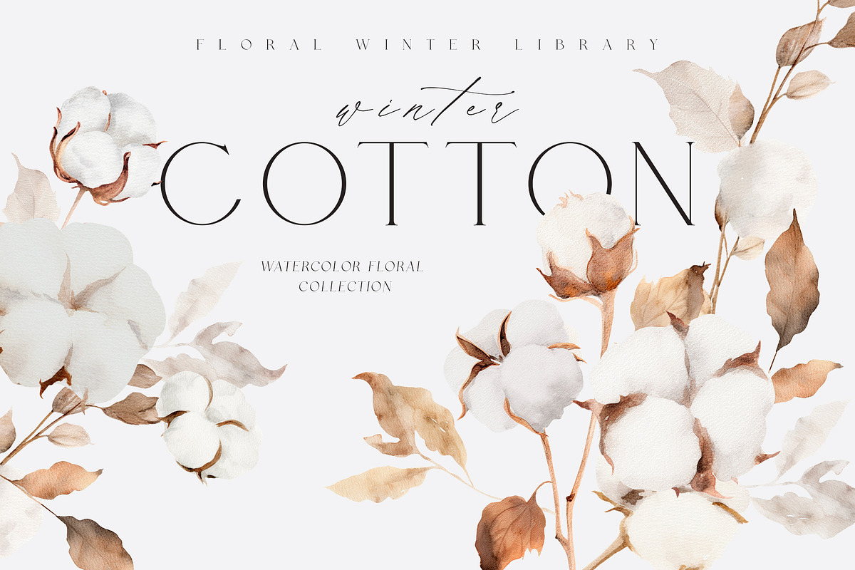 FLORAL WINTER BOX Watercolor Bundle, a Seasonal Illustration by Muse Artist (Photo 21 of 95)
