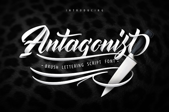 Antagonis Handcrafted Script Font