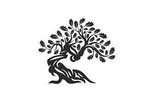 Isolated vector oak tree illustratio