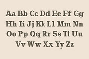 Adena Slab Serif Font Family, a Slab Serif Font by Creativetacos (Thumbnail 2 of 9)