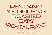 Rinjani Sans - Wide Stretch Typeface, a Sans Serif Font by CCS Type (Thumbnail 8 of 19)