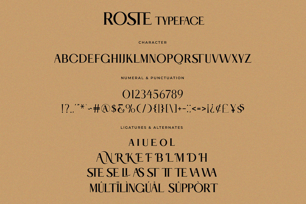 ROSTE Modern Ligature Serif Typeface, a Serif Font by Alfinart (Photo 9 of 10)