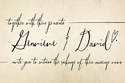 Vermandois, a Script Font by Magpie Paper Works (Thumbnail 5 of 5)