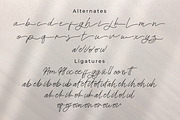 Steelbany, a Script Font by Goresan Studio (Thumbnail 12 of 15)