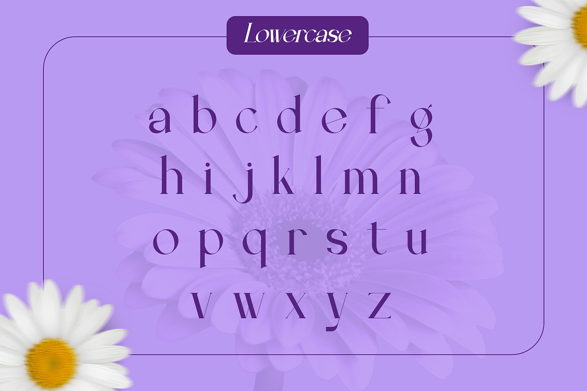 Eclime, a Serif Font by Rishsketch (Photo 8 of 12)