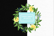 Watercolor Citrus Set, an Object Graphic by Kotulska (Thumbnail 4 of 4)