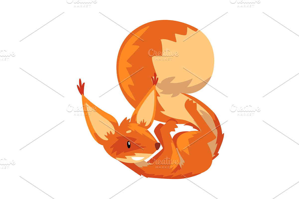 Cute Squirrel Lying on Its Back, an Animal Illustration by TopVectors