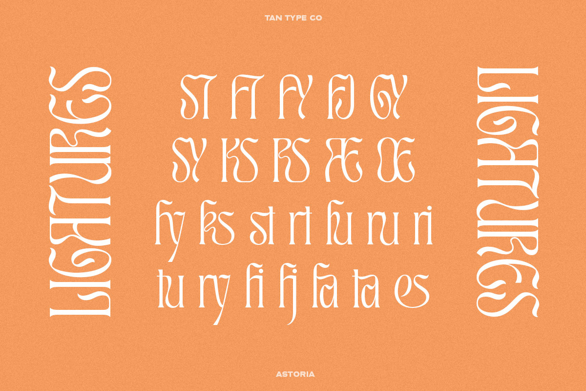 TAN - ASTORIA, a Serif Font by TanType (Photo 18 of 21)