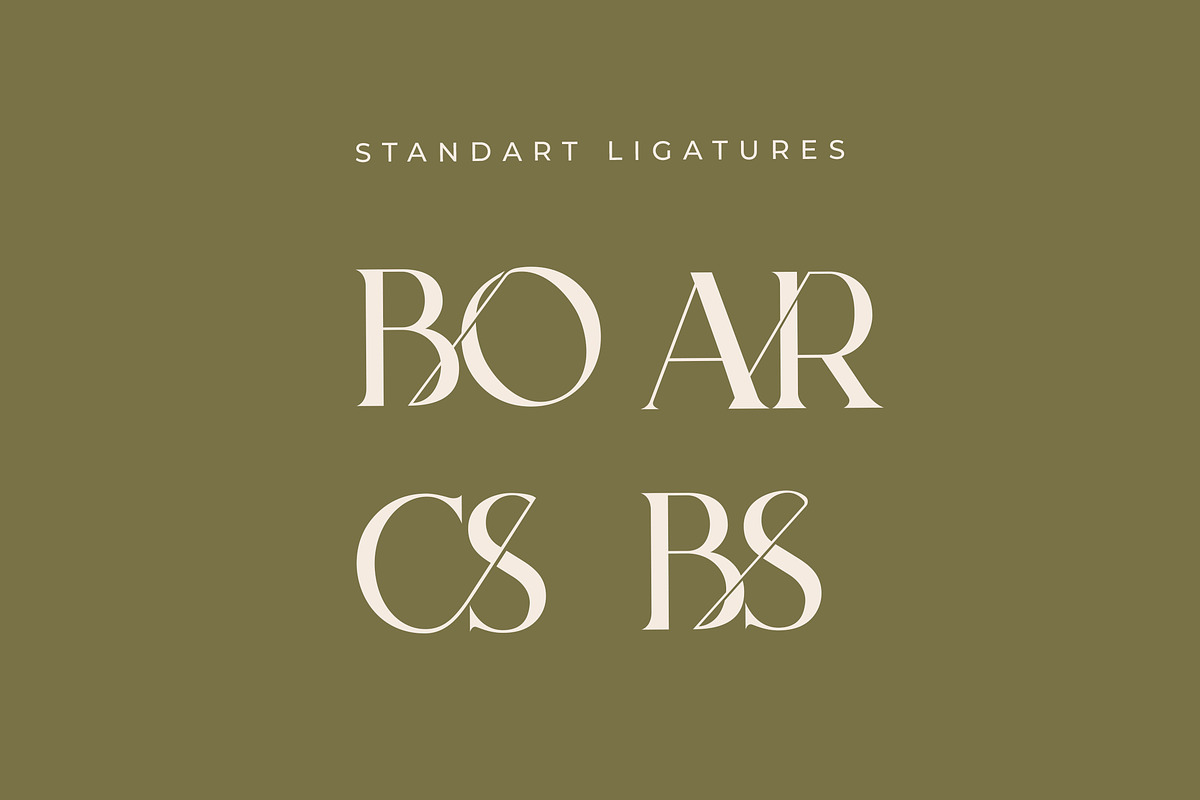 Bodar Serif Display Font, a Serif Font by UICreative (Photo 2 of 5)