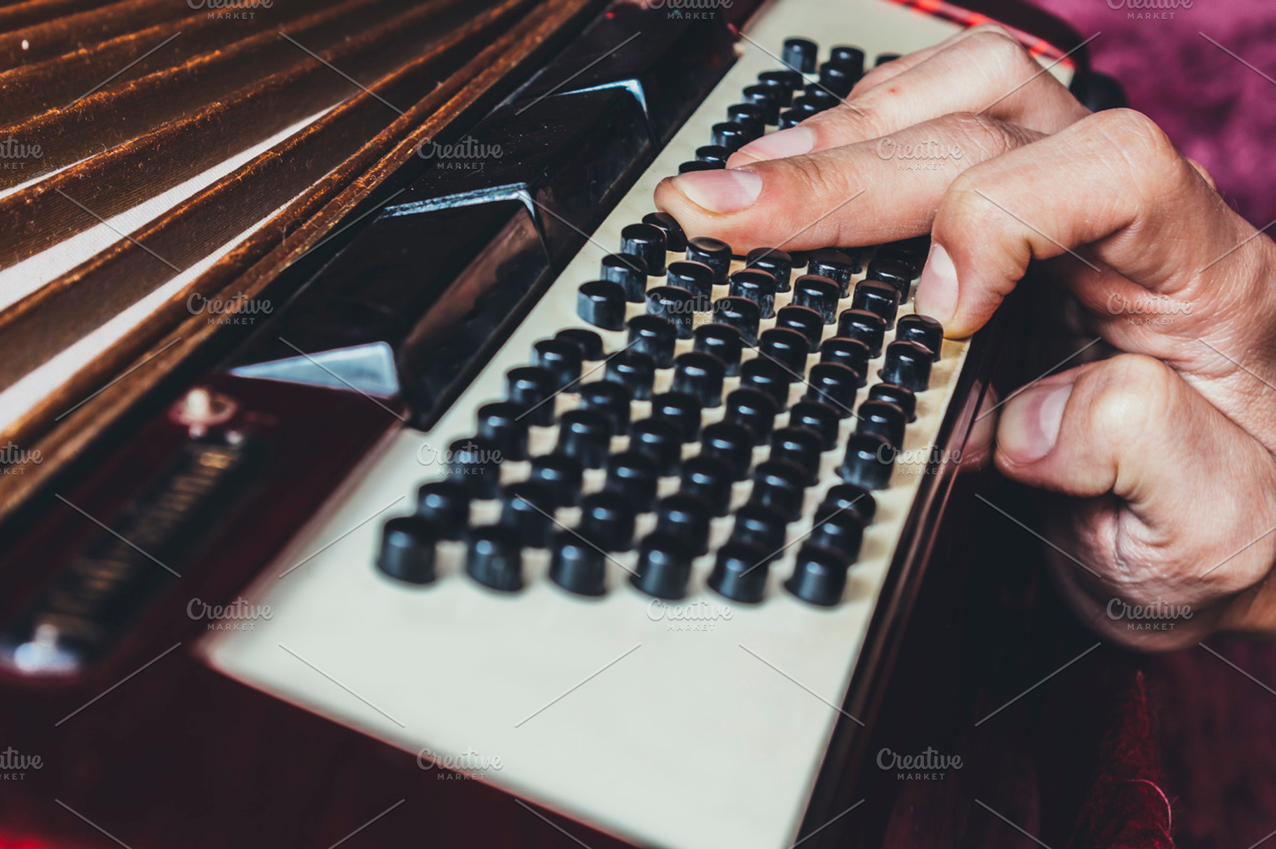 Accordion player, an Arts & Entertainment Photo by LidiaP