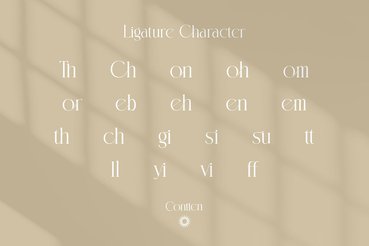 Contten Modern Ligature Serif, a Serif Font by Alfinart (Photo 11 of 11)