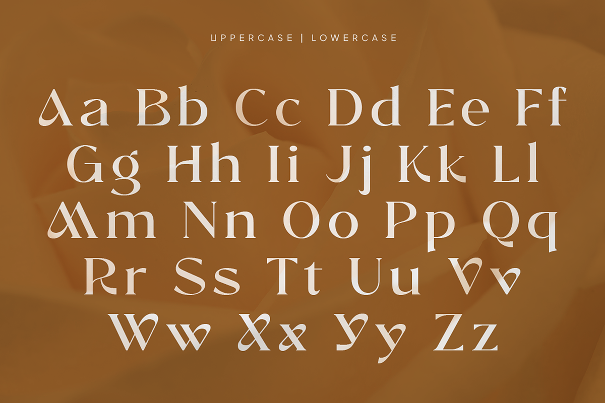 Windels - Elegant Serif Logo Font, a Serif Font by Pekotype (Photo 3 of 15)