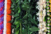 LEI'S OF HAWAII {Instagram stock}, a Photo by KABSPHOTOGRAPHY (Thumbnail 6 of 7)