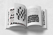 Beardvans - Throw-Up Graffiti Font, a Sans Serif Font by Typia Nesia (Thumbnail 9 of 12)