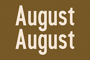 Cleudia Duo Font Sans Serif, a Sans Serif Font by Storytype Studio (Thumbnail 8 of 15)