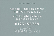 Auguste, a Sans Serif Font by Flawless And Co (Thumbnail 7 of 12)