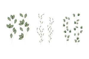 Delicate green watercolor botanical, a Texture Illustration by okskukuruza