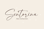 Historina - Elegant Font, a Script Font by MJB Letters (Thumbnail 2 of 9)