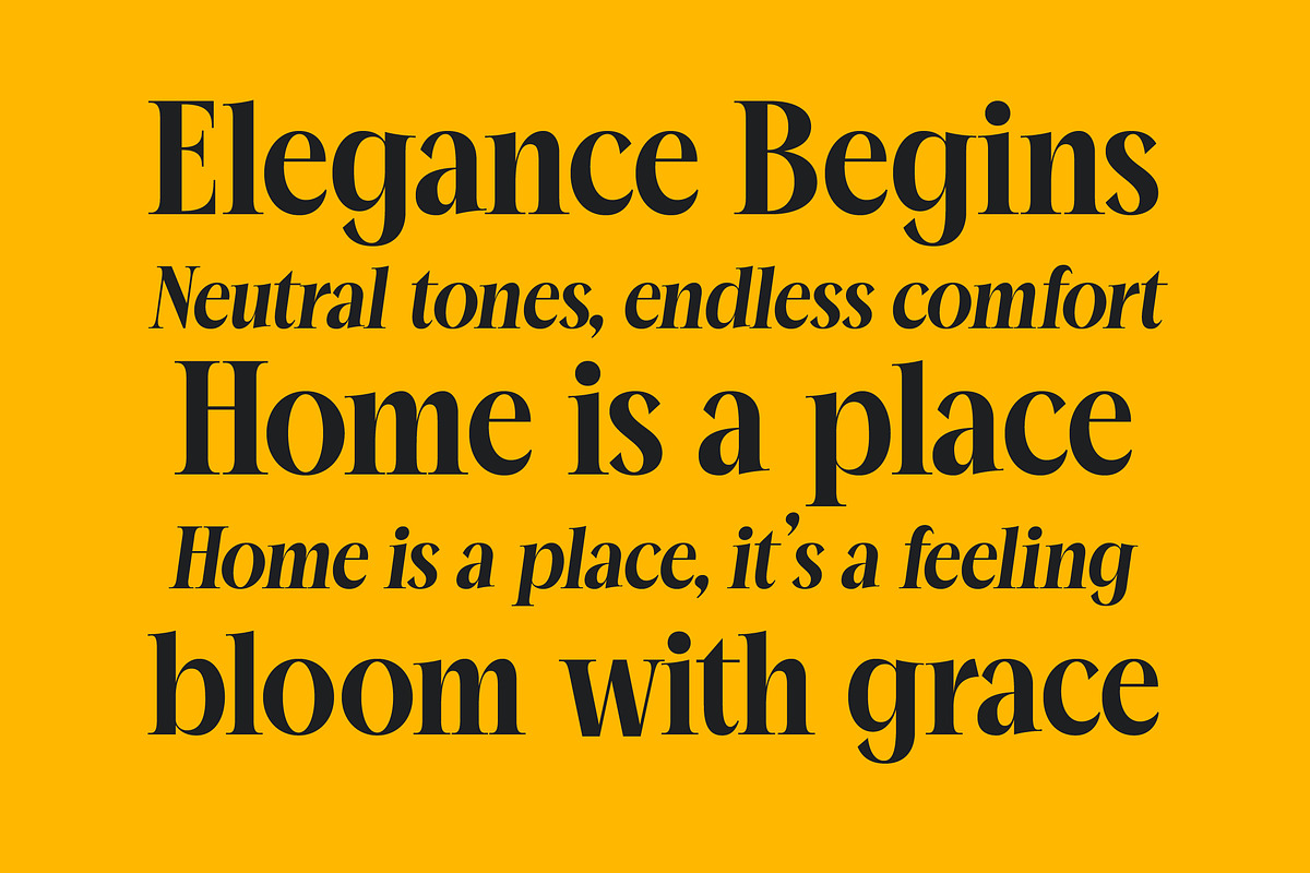 Mailyo Modern Serif Display Font, a Serif Font by timelesstype.co (Photo 4 of 20)