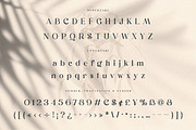 Dunsmuir - Modern Serif Font, a Serif Font by Cruzine (Thumbnail 6 of 9)