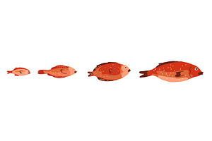 Red fish of different sizes set, an Animal Illustration by Ilia Design