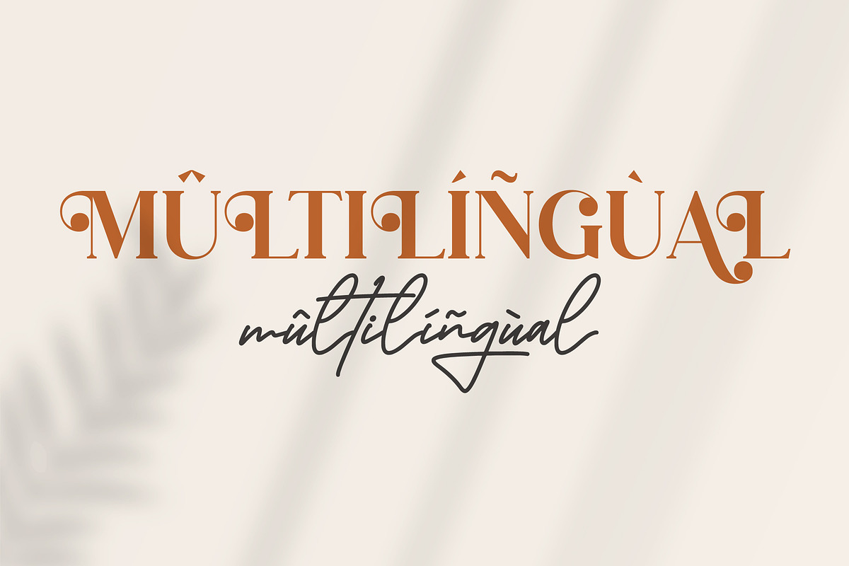 Megasta Signateria Font Duo Typeface, a Serif Font by Storytype Studio (Photo 11 of 15)