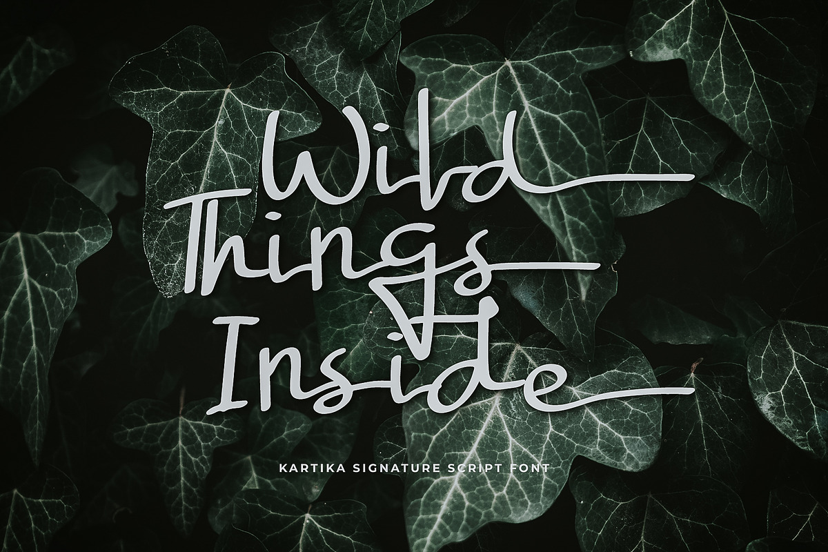 Kartika a Signature Script Font, a Script Font by Dawnside Graphic (Photo 2 of 16)