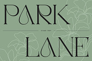 CS Sage – Art Nouveau Font, a Serif Font by Craft Supply Co. (Thumbnail 2 of 8)