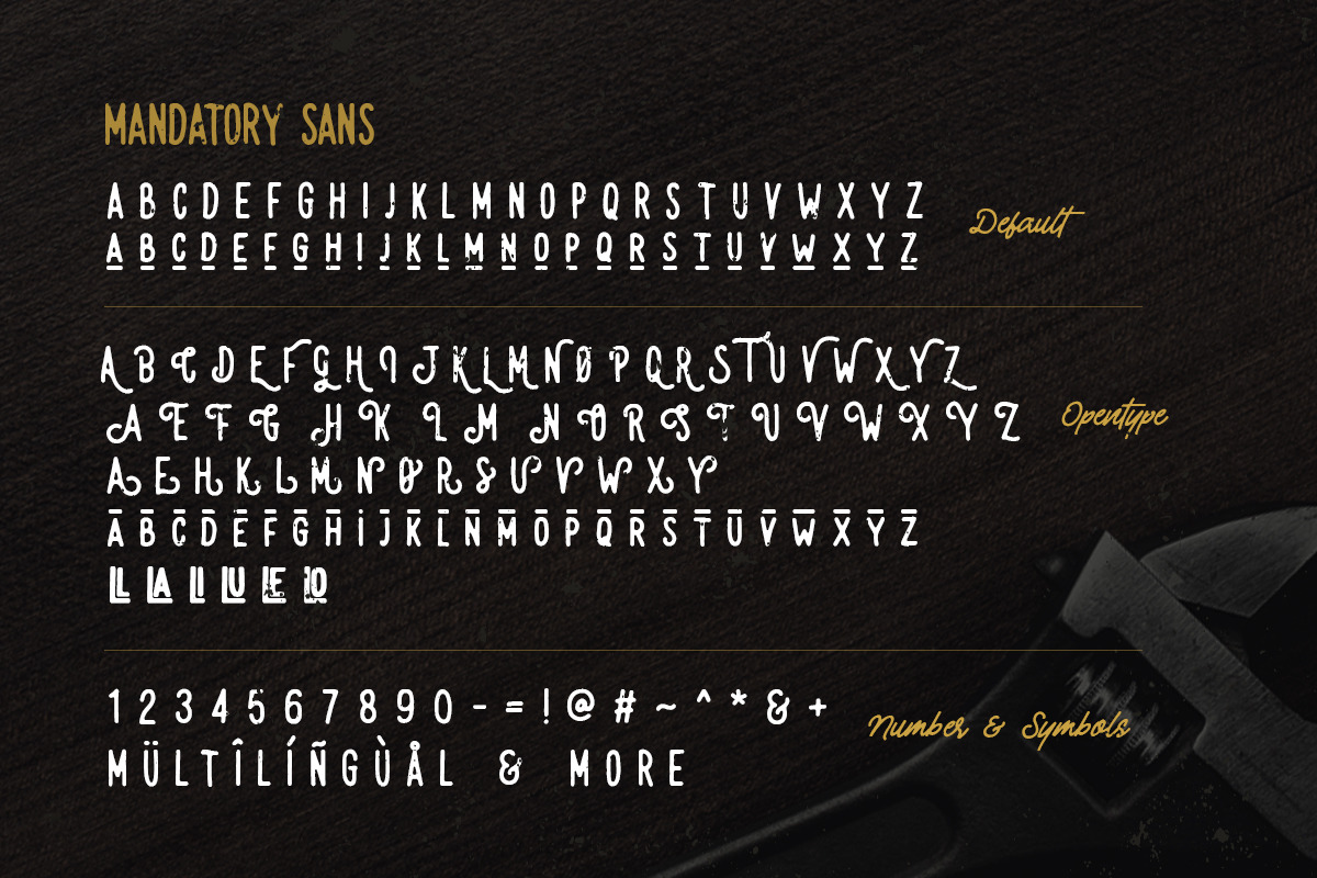 Mandatory - Vintage Font Duo, a Sans Serif Font by Letterhend Studio (Photo 9 of 9)