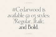 Cedarwood - Classy Serif, a Serif Font by Harmonais Visual (Thumbnail 13 of 19)