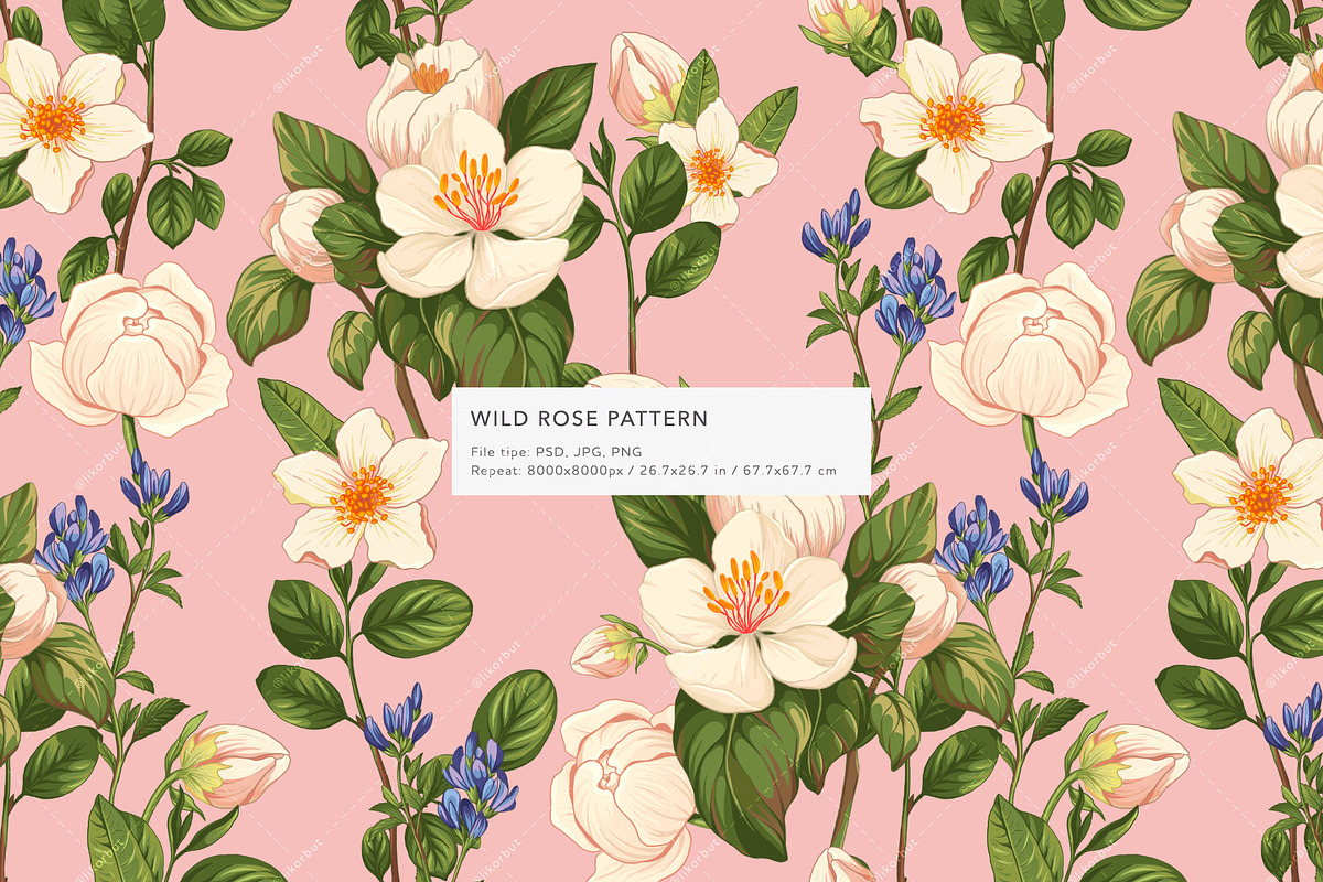 Wild Rose Patterns & Motifs. Botanic, a Pattern Graphic by likorbut