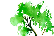 №30 Collection trees watercolor, a Decorative Illustration by Rasveta (Thumbnail 3 of 5)