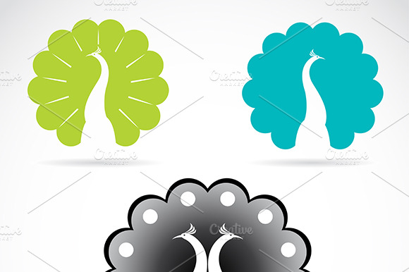 Vector Image Of Peacock