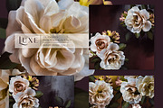 Luxe Oil Paint Floral Graphics, an Illustration by Eclectic Anthology (Thumbnail 8 of 17)