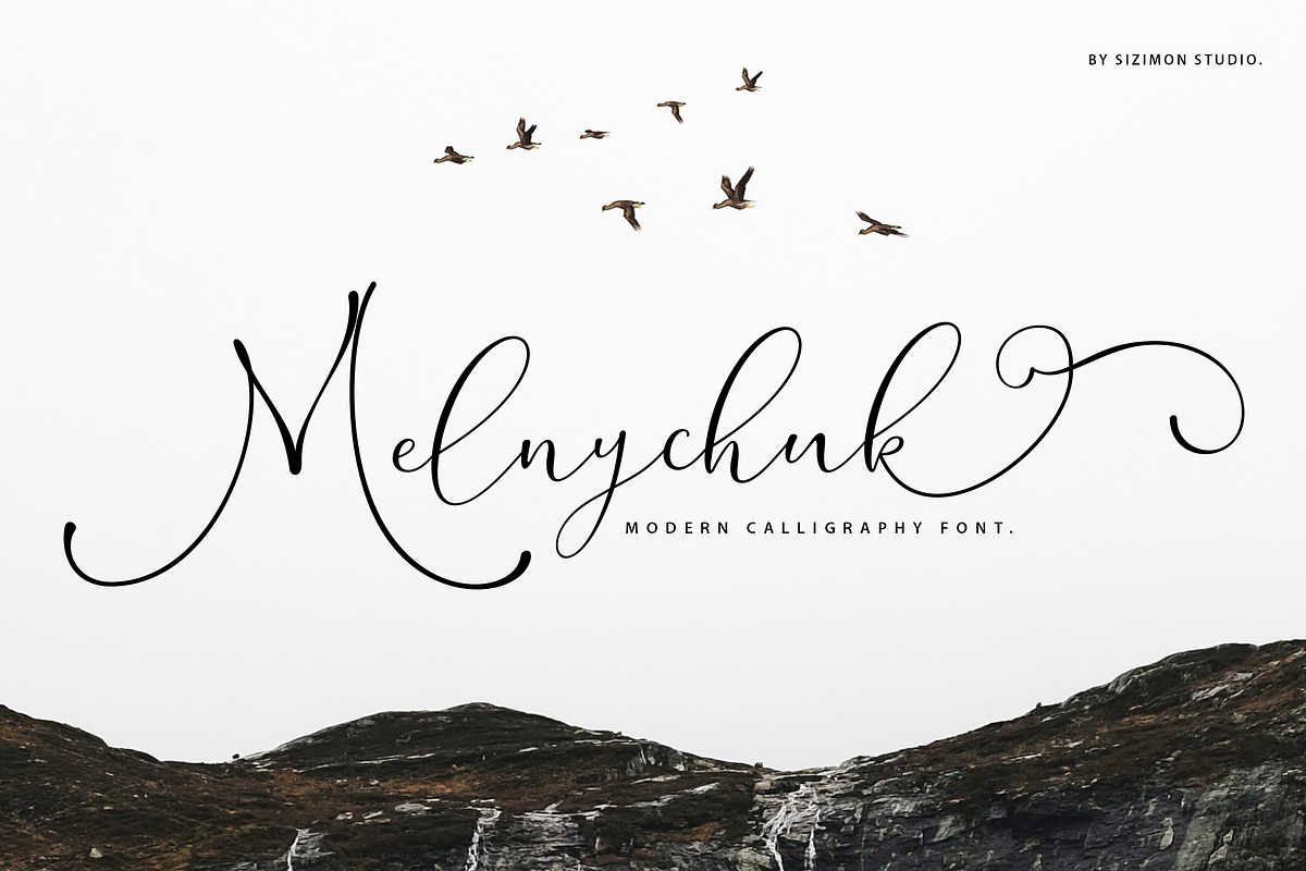 Melnychuk Elegant Script, a Script Font by sizimon (Photo 1 of 8)