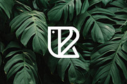 Letter R Butterfly Logo, a Branding & Logo Template by Musafeer Studio (Thumbnail 3 of 3)